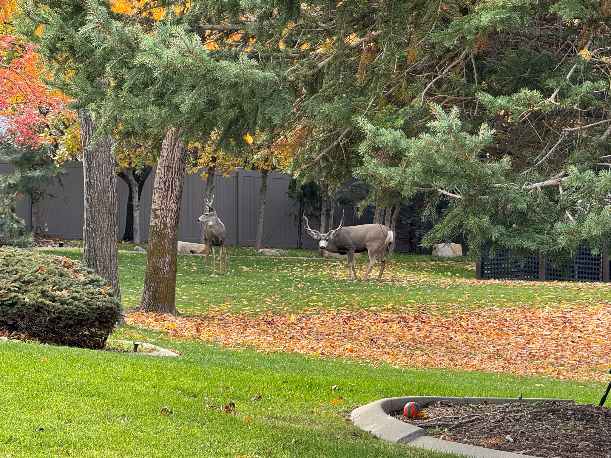VALLE DI VILLA - Residential