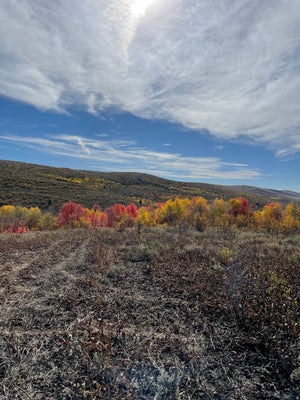 ADDRESS PRIVATE, MONTPELIER, ID 83254 - Image beda32ccc32e4866a9b3f024e41b556a/1491958841
