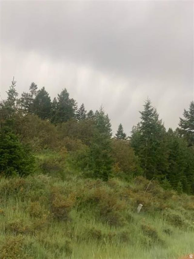 BAILEY CREEK SUBD - Land