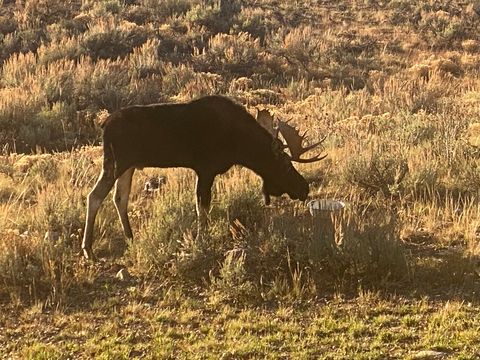 Tiny photo for #44, Kamas, UT 84036 (MLS # 2152477)