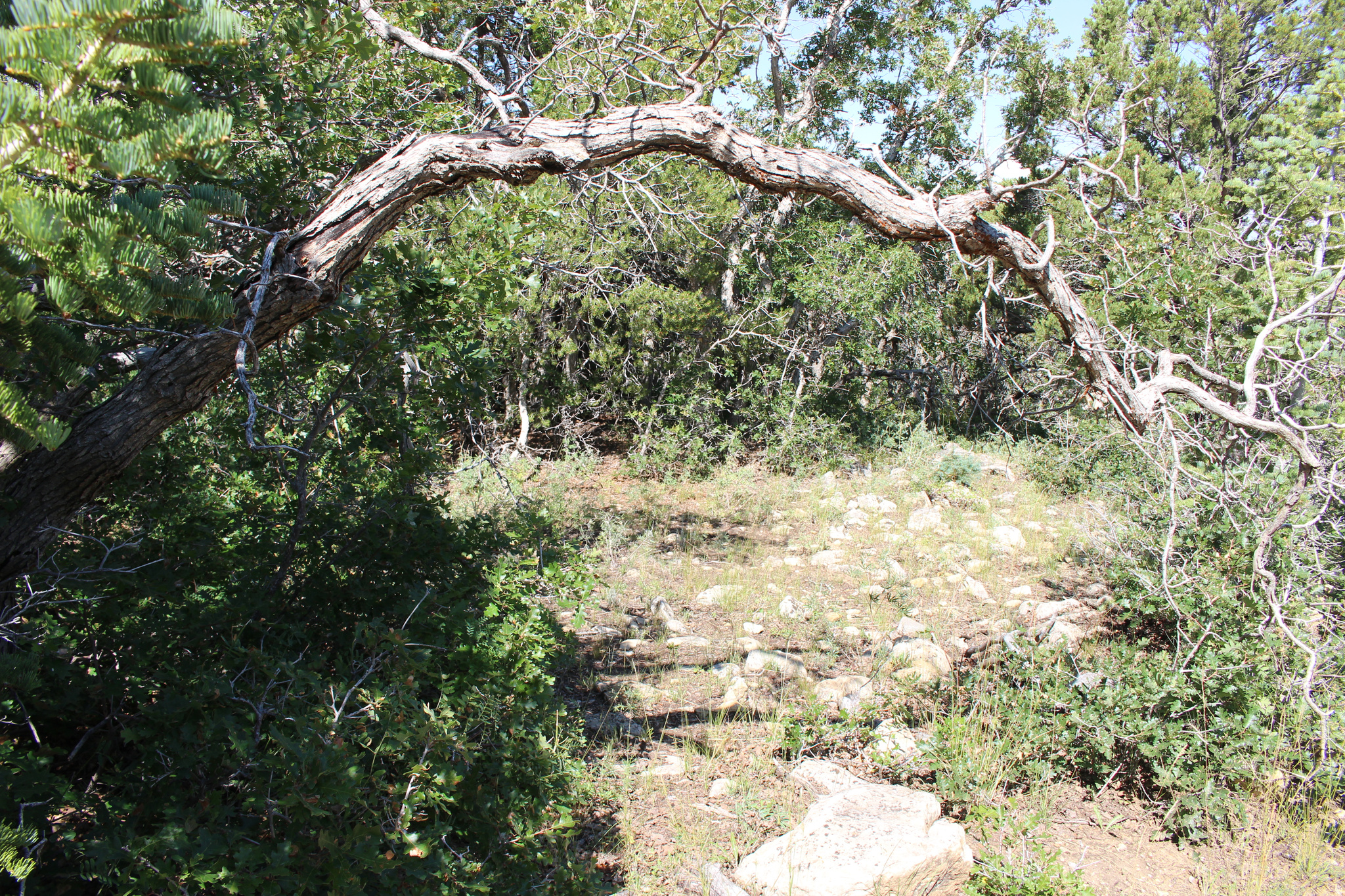 CEDAR HIGHLANDS SUBDIVISION - Land