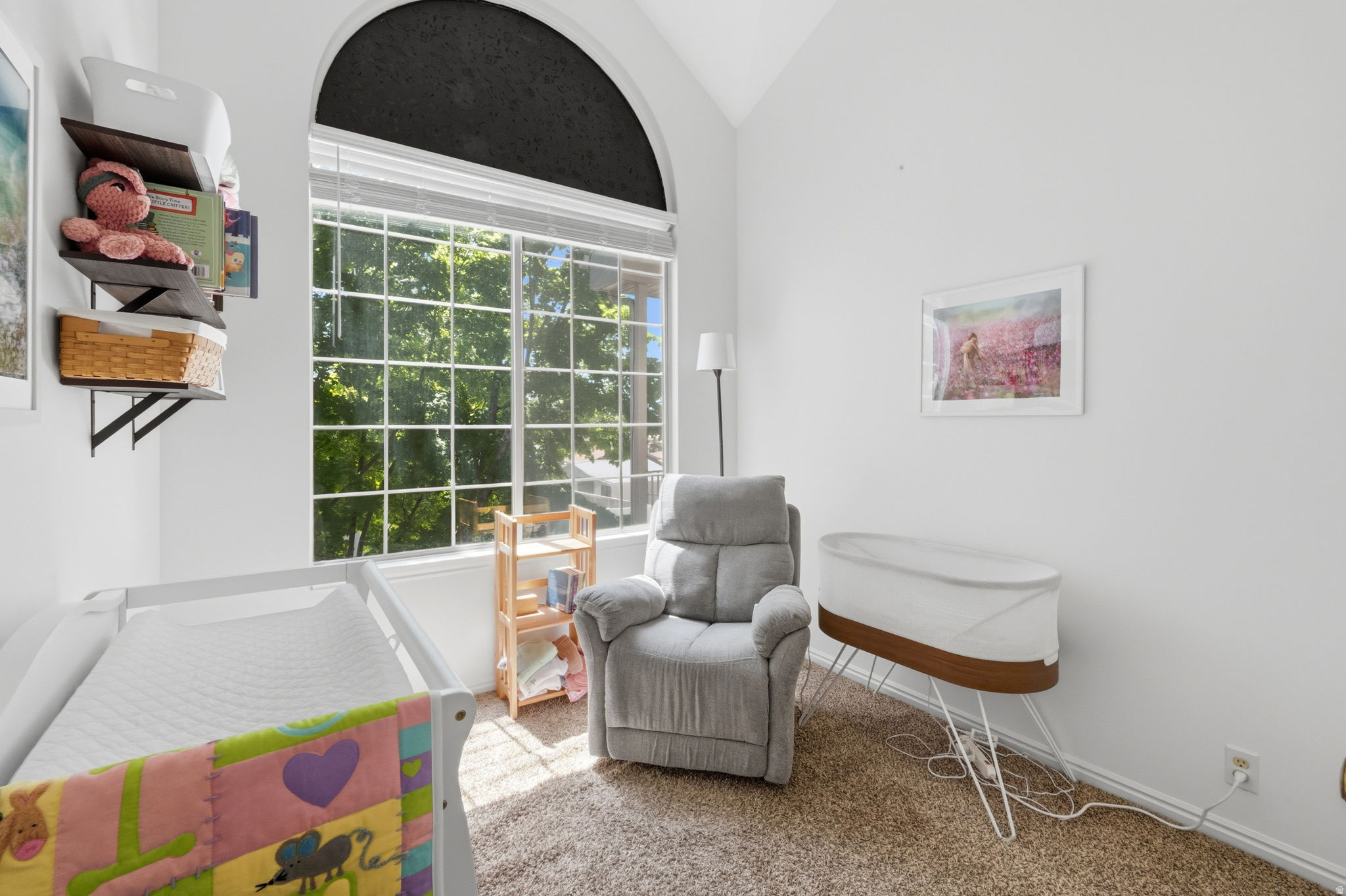 CARRIAGE CROSSING - Residential