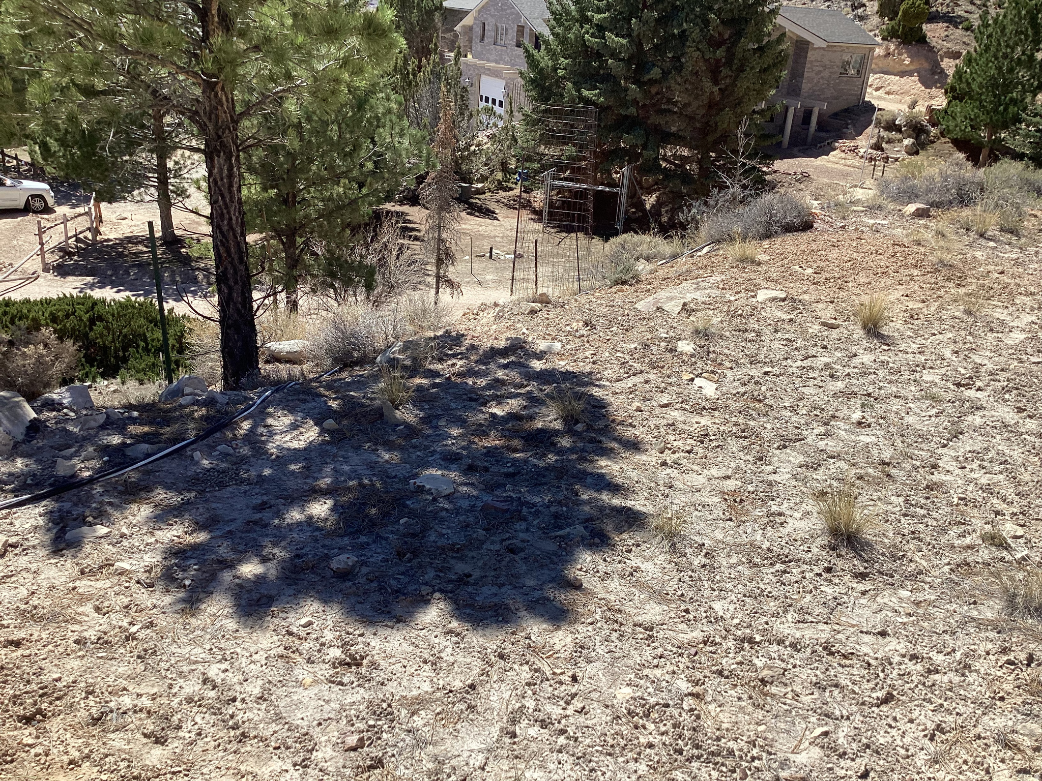 CEDAR CLIFF ESTATES - Land