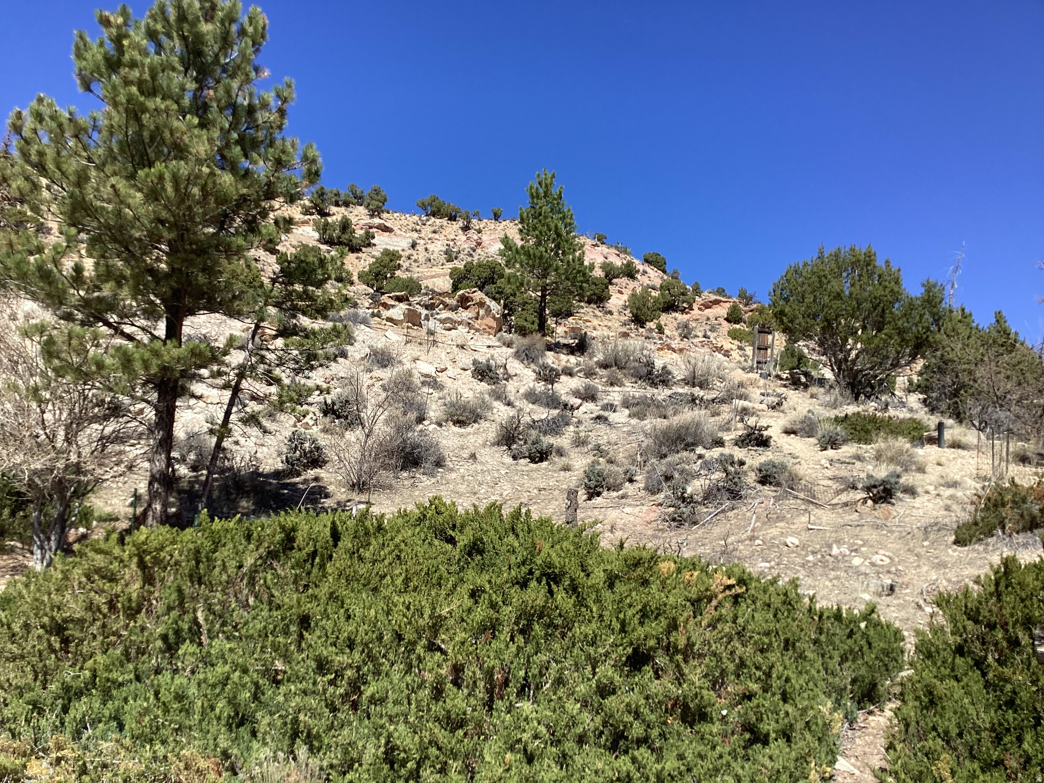 CEDAR CLIFF ESTATES - Land