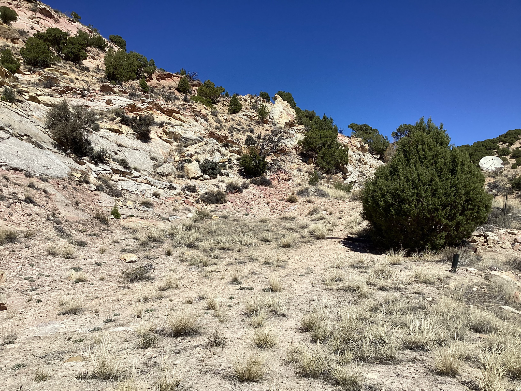 CEDAR CLIFF ESTATES - Land