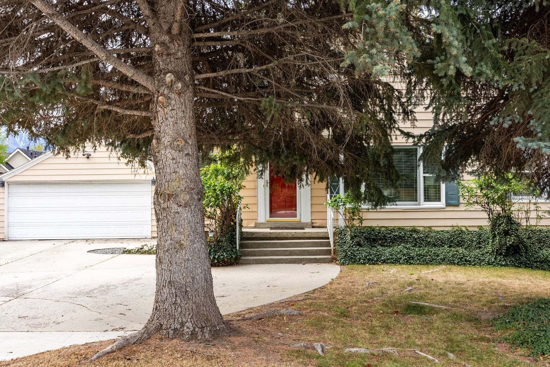 CARRIAGE PARK - Residential