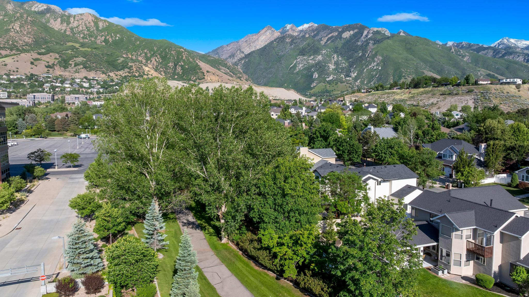 MILL HOLLOW - Residential