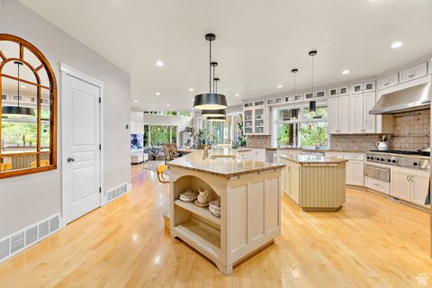 Tiny photo for 9481 N 3830 W, Cedar Hills, UT 84062 (MLS # 2111760)