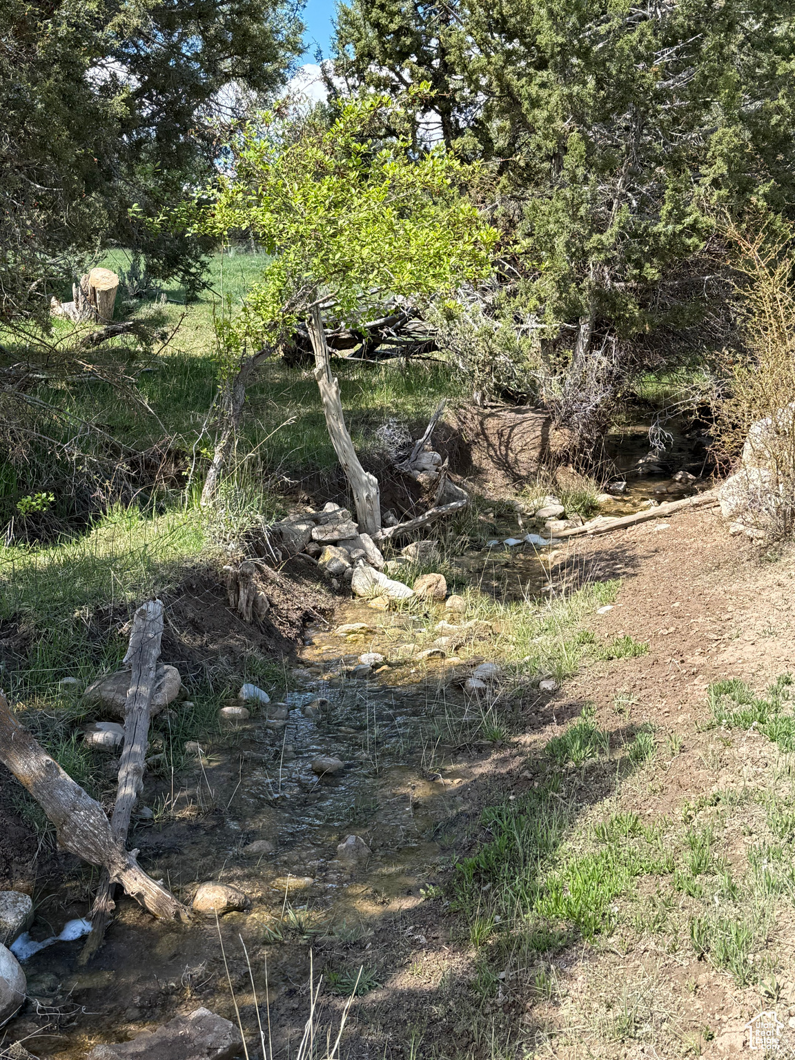 #23, Spring City, Utah image 16