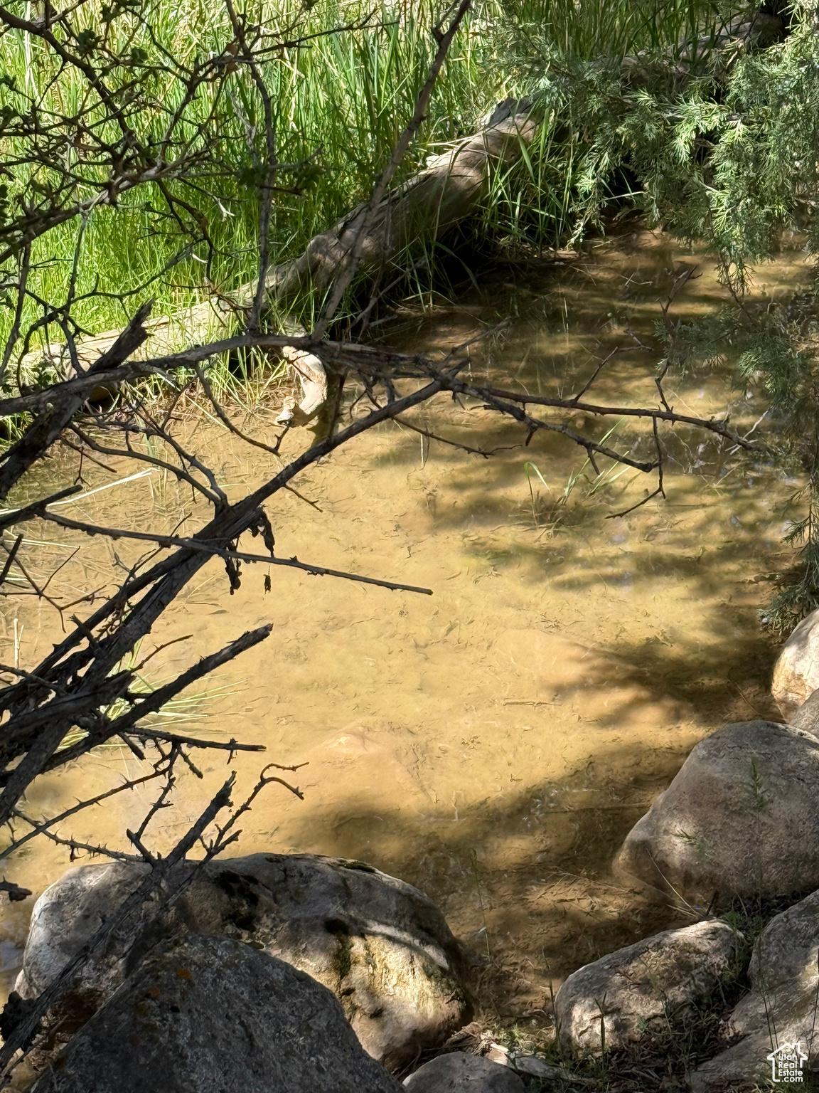 #23, Spring City, Utah image 20