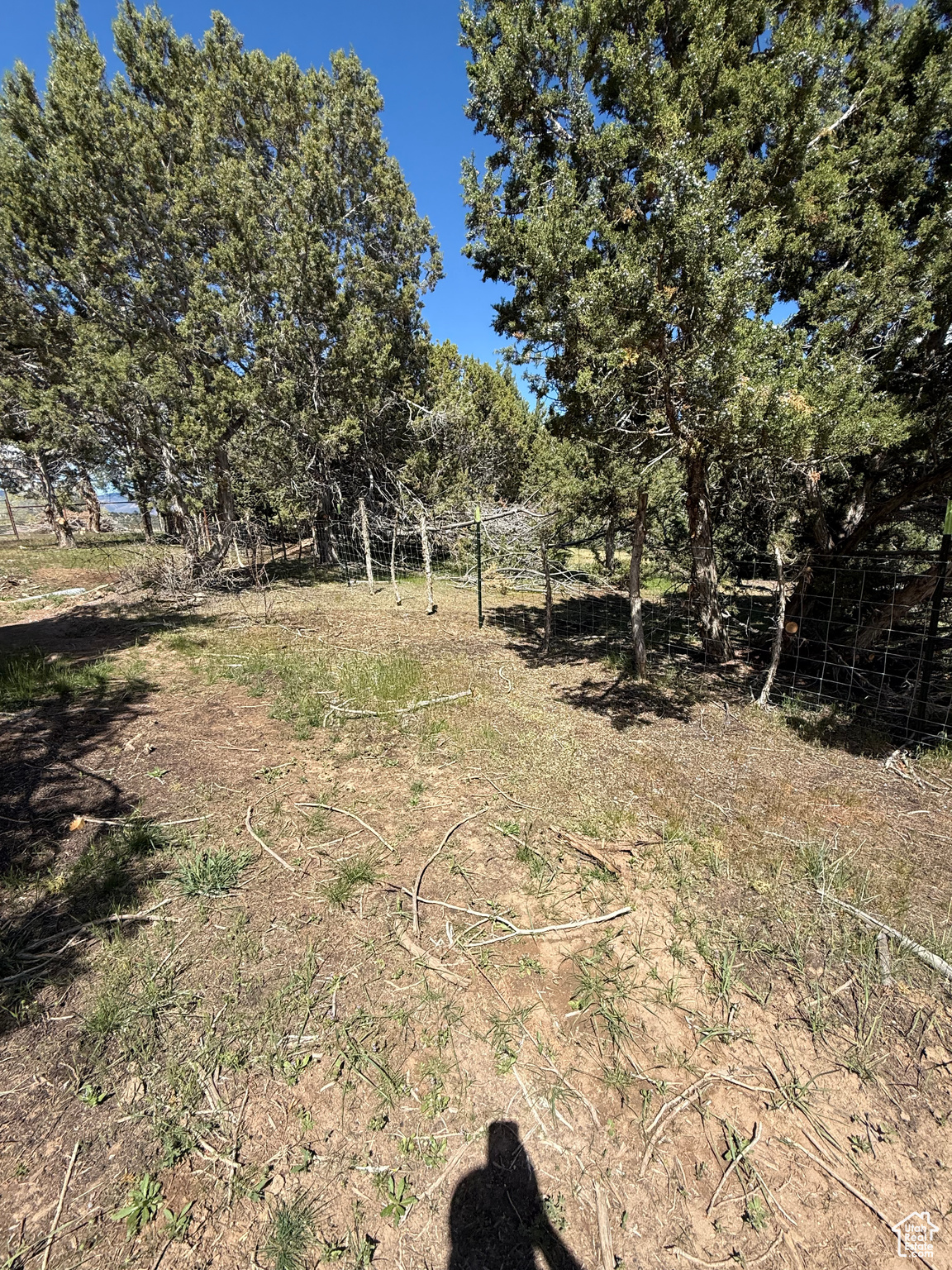 #23, Spring City, Utah image 11