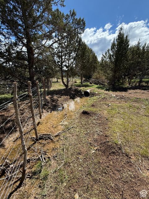 Vacant Land For Sale - #23<br/> Sanpete County, Spring City, UT 84662