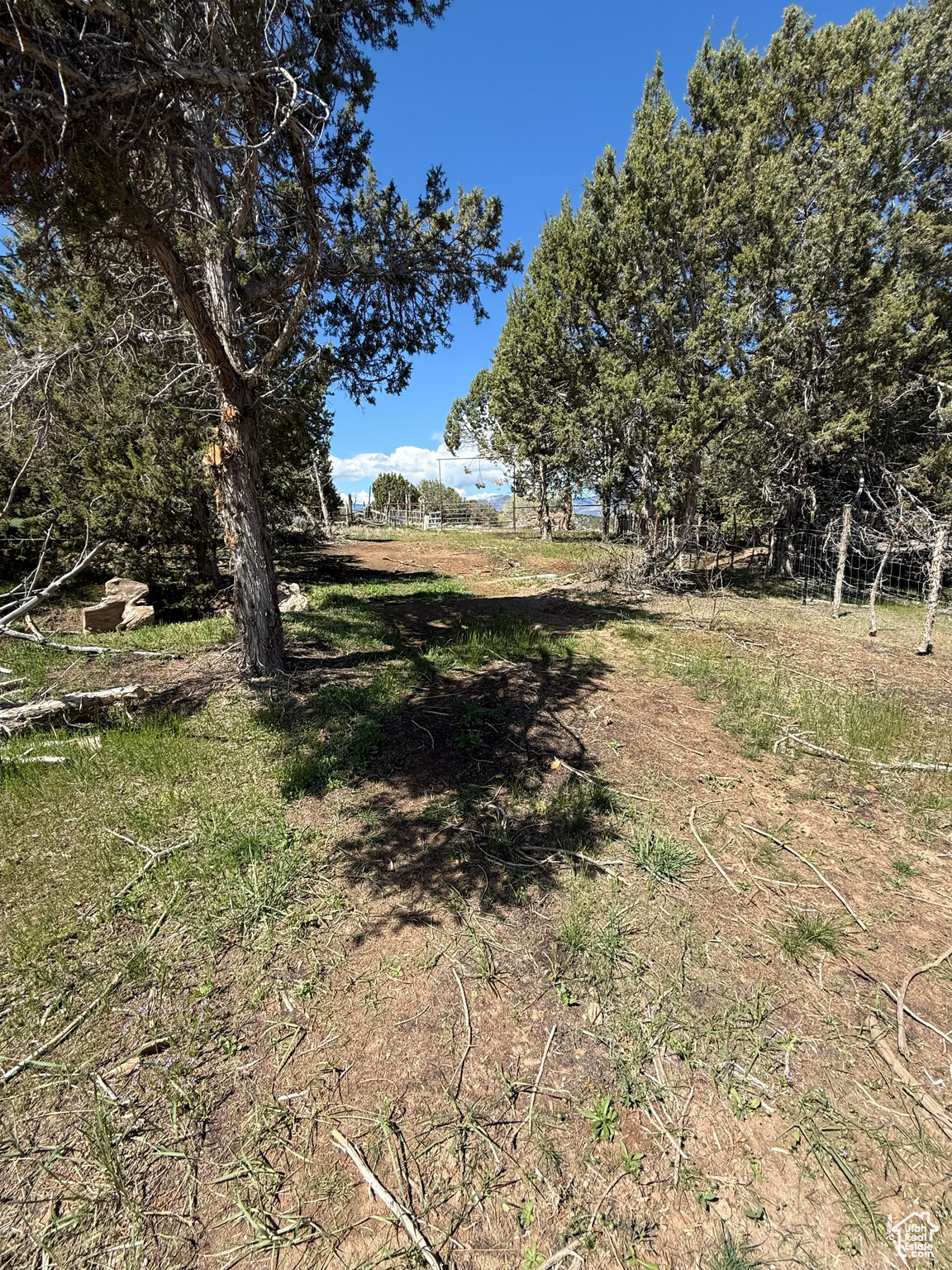 #23, Spring City, Utah image 12