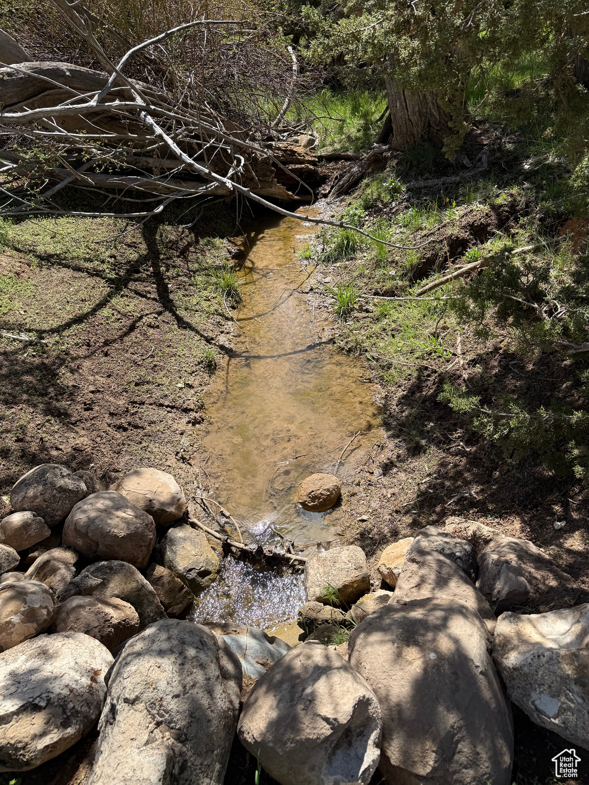 #23, Spring City, Utah image 10