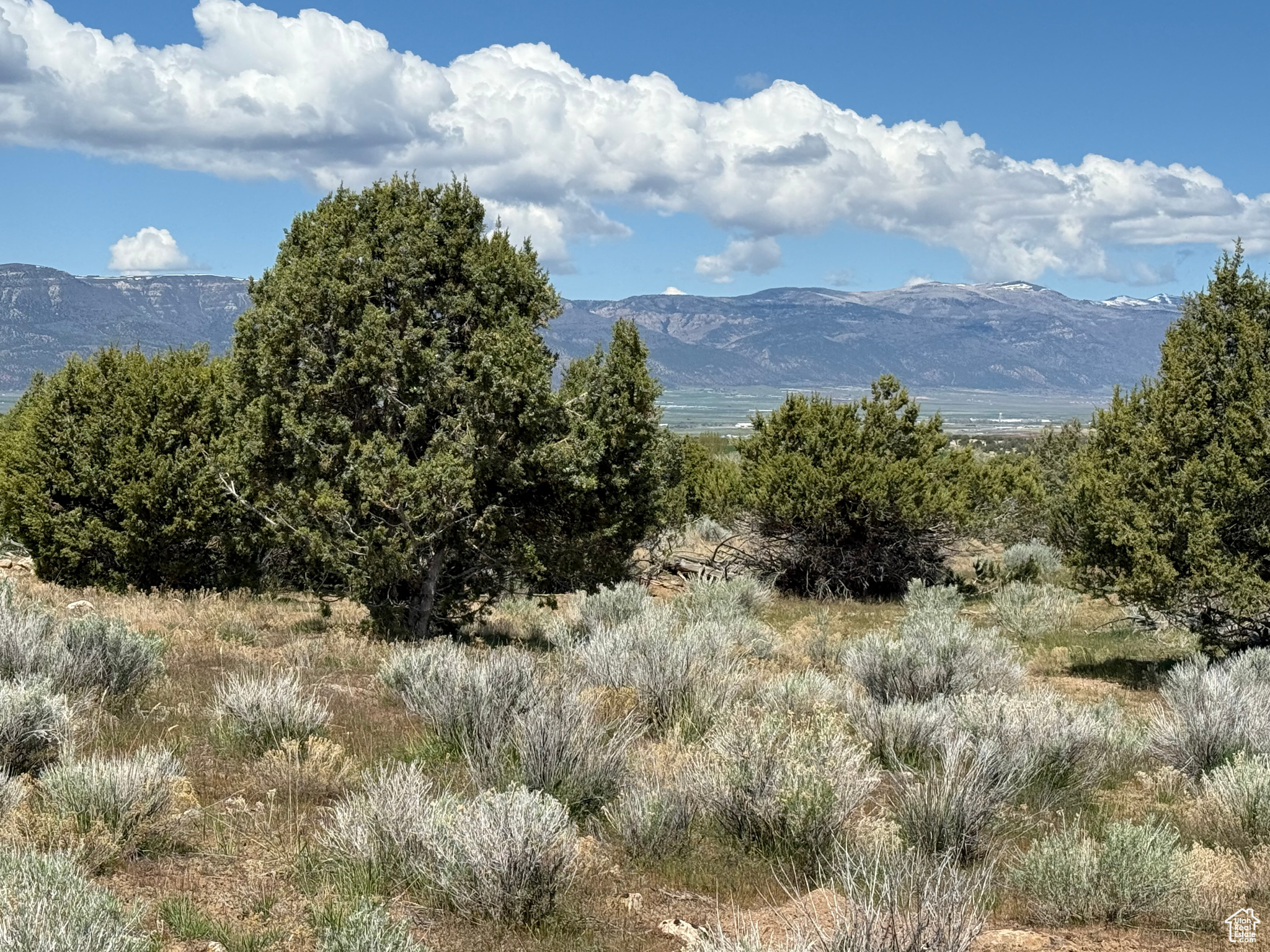 #23, Spring City, Utah image 4
