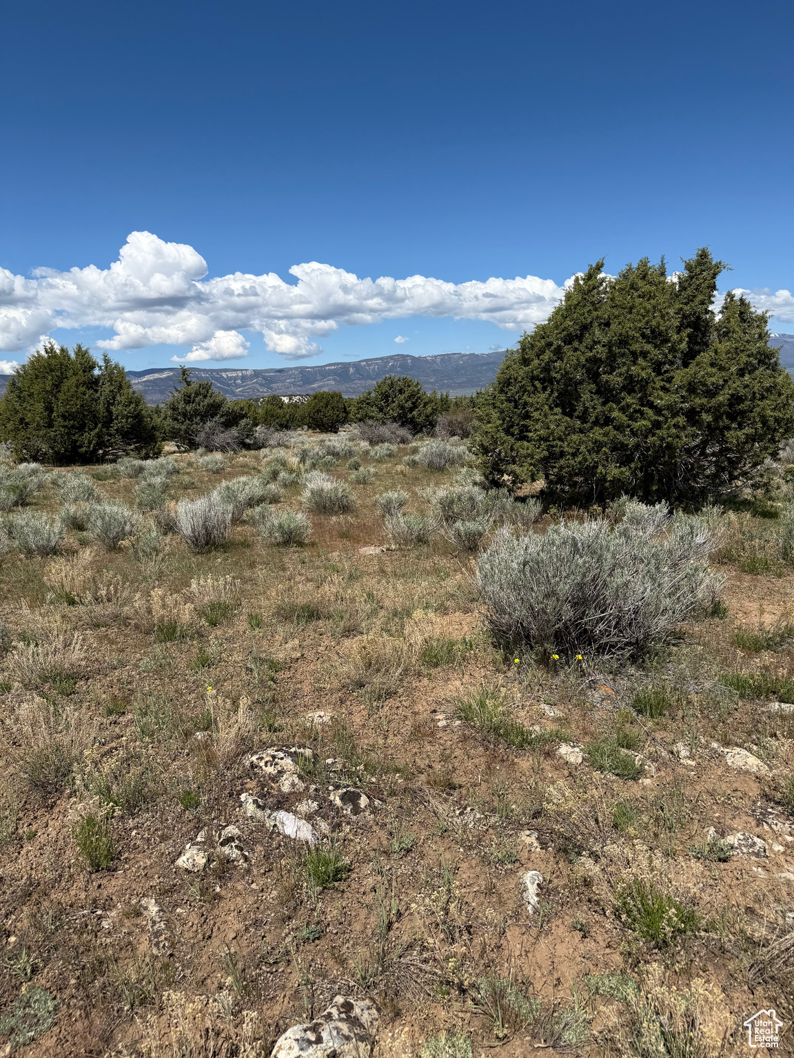 #23, Spring City, Utah image 2