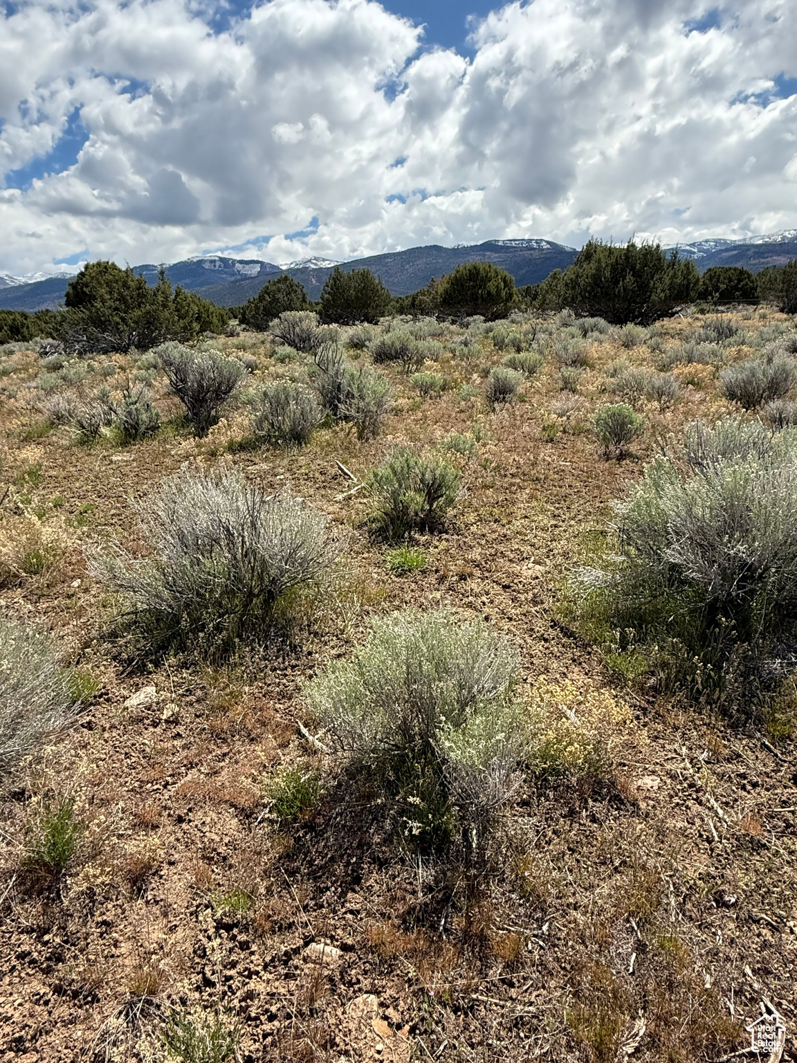 #23, Spring City, Utah image 9