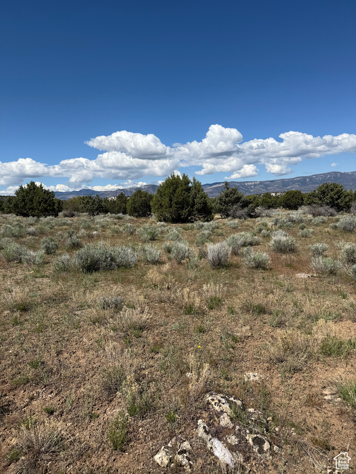 #23, Spring City, Utah image 21