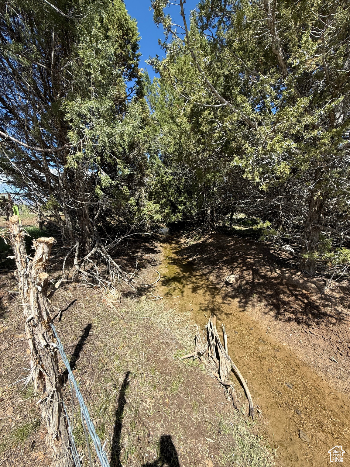 #23, Spring City, Utah image 6