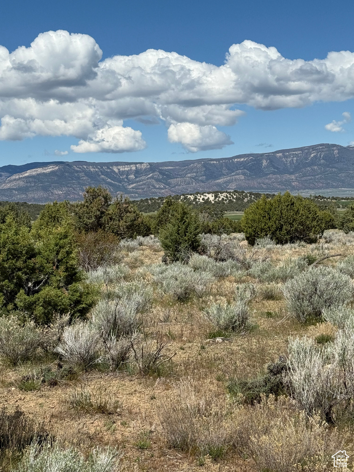 #23, Spring City, Utah image 17