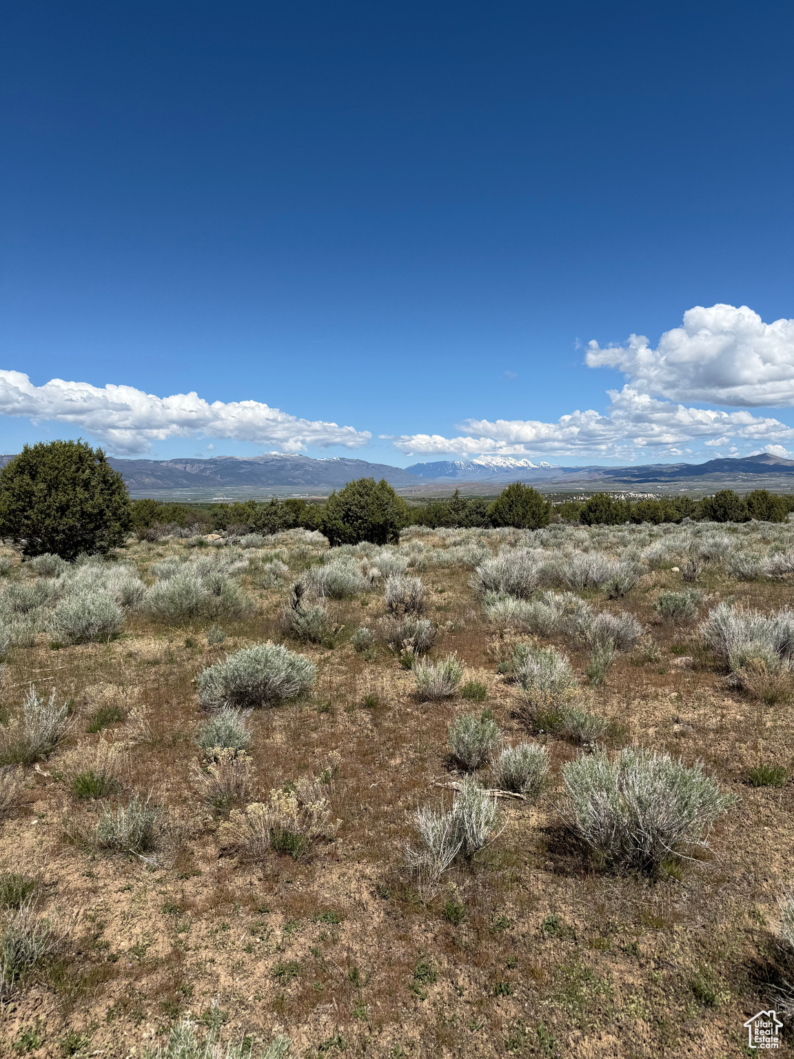 #23, Spring City, Utah image 19
