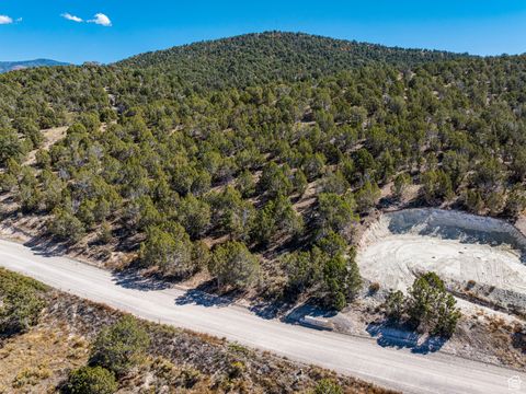 Tiny photo for #77, Indianola, UT 84629 (MLS # 2119019)