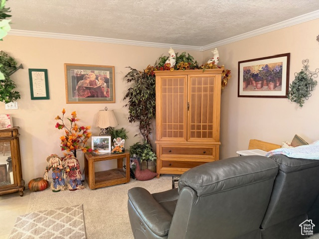 COUNTRY ESTA - Residential