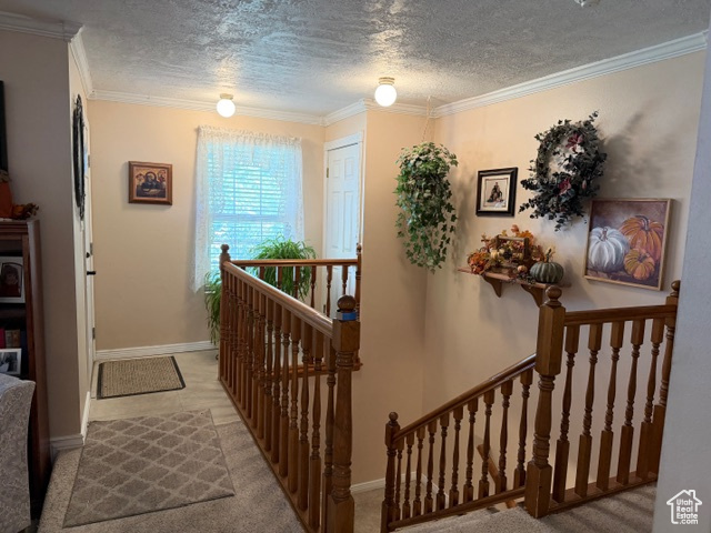 COUNTRY ESTA - Residential