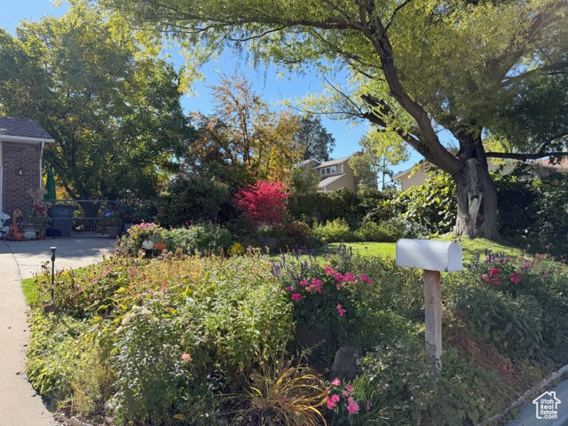 COUNTRY ESTA - Residential