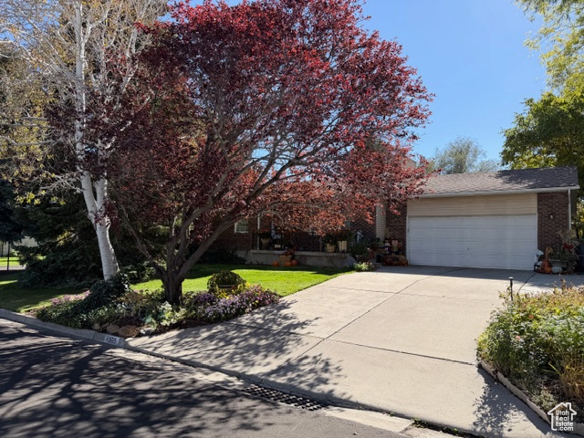 COUNTRY ESTA - Residential