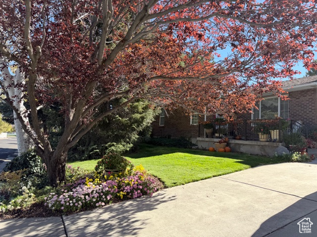 COUNTRY ESTA - Residential