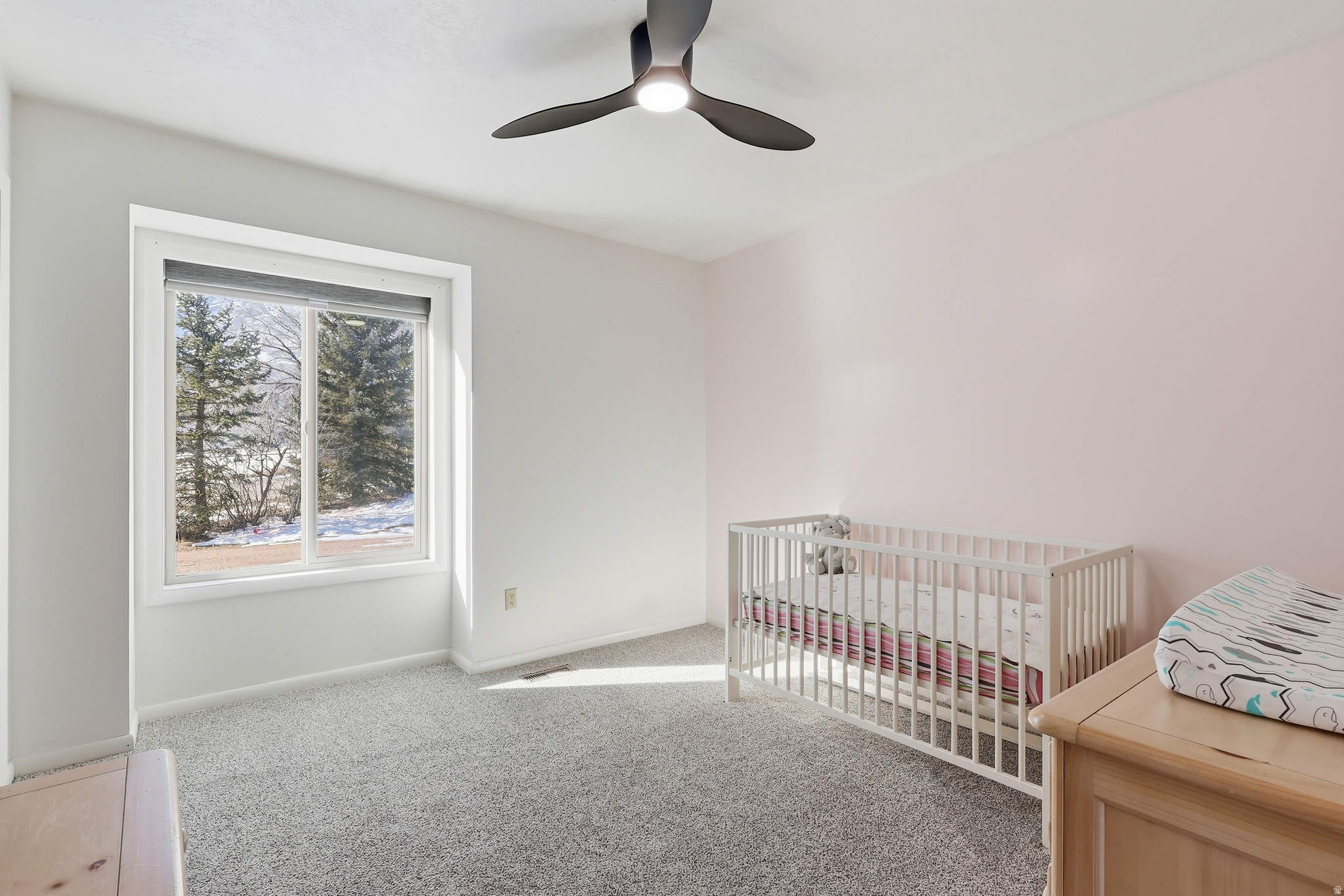 NORTH FORK / COBBLE CREEK - Residential