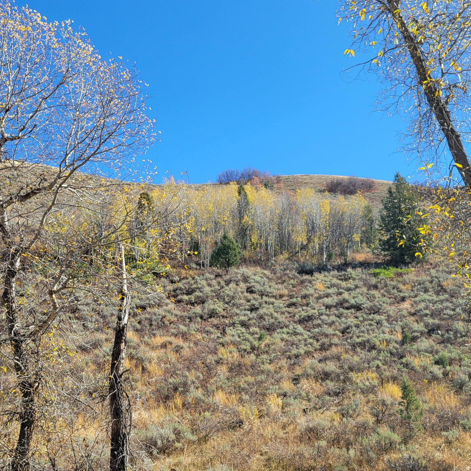 BEAVER CREEK - Land