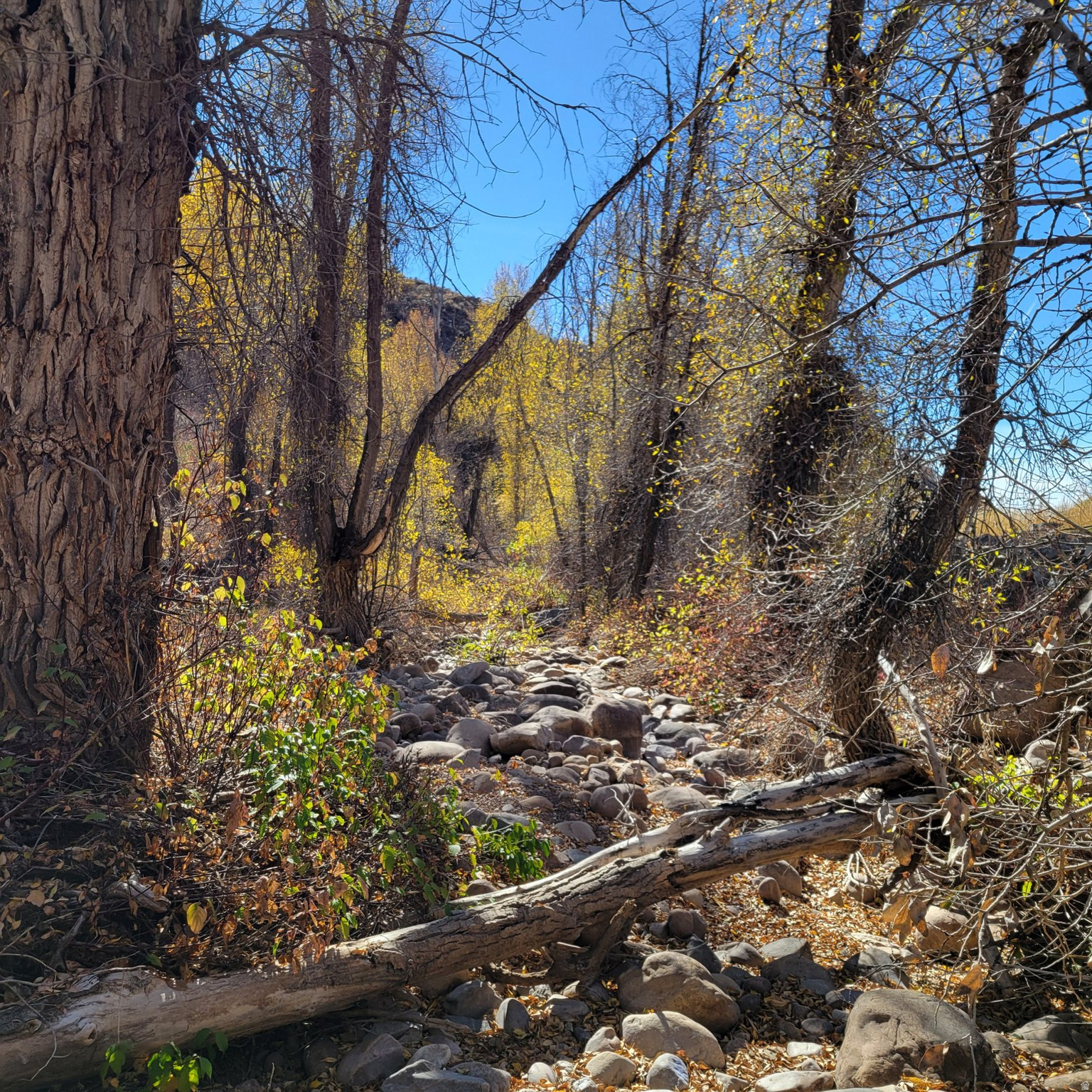 BEAVER CREEK - Land