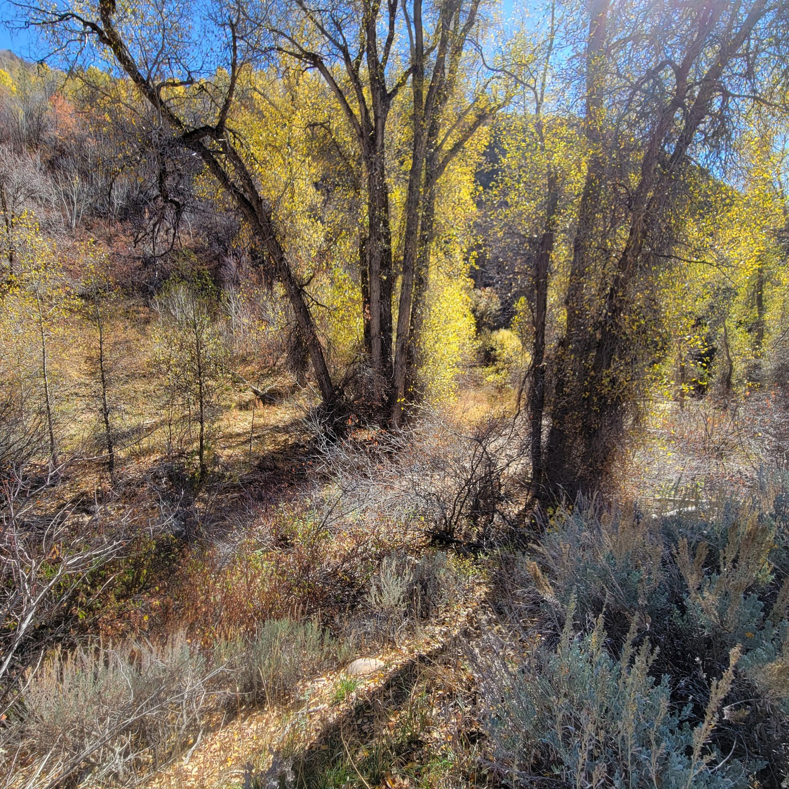 BEAVER CREEK - Land
