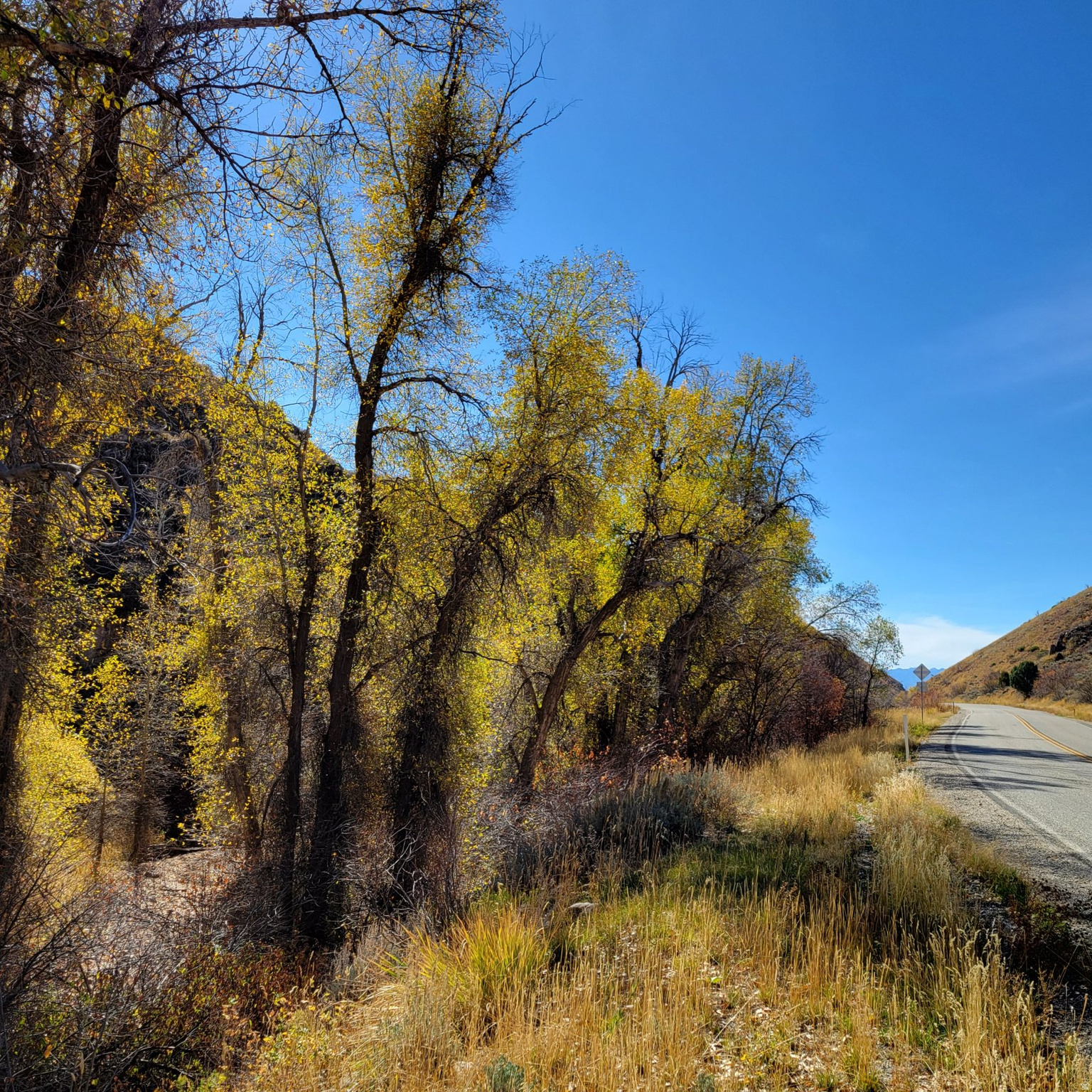 BEAVER CREEK - Land