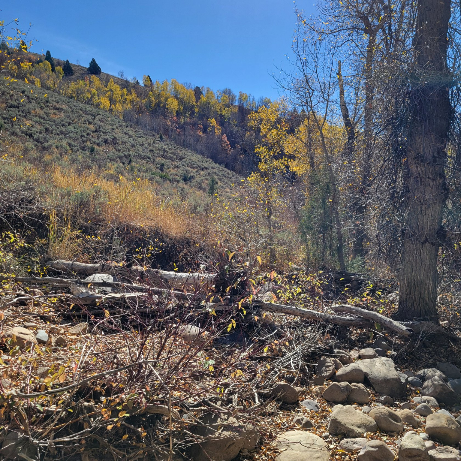 BEAVER CREEK - Land