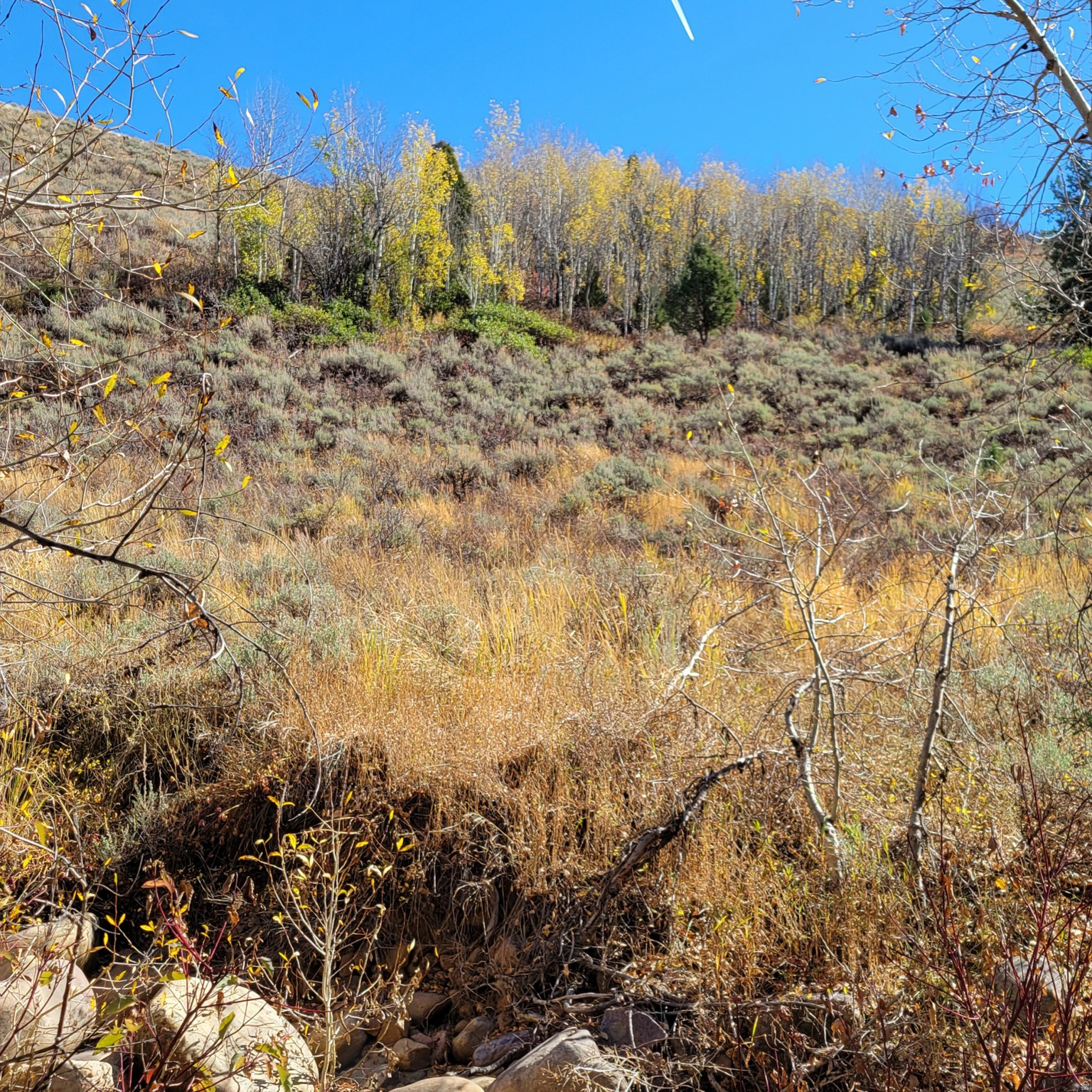 BEAVER CREEK - Land