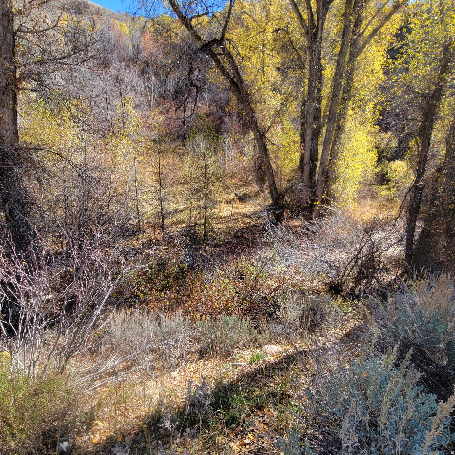 BEAVER CREEK - Land