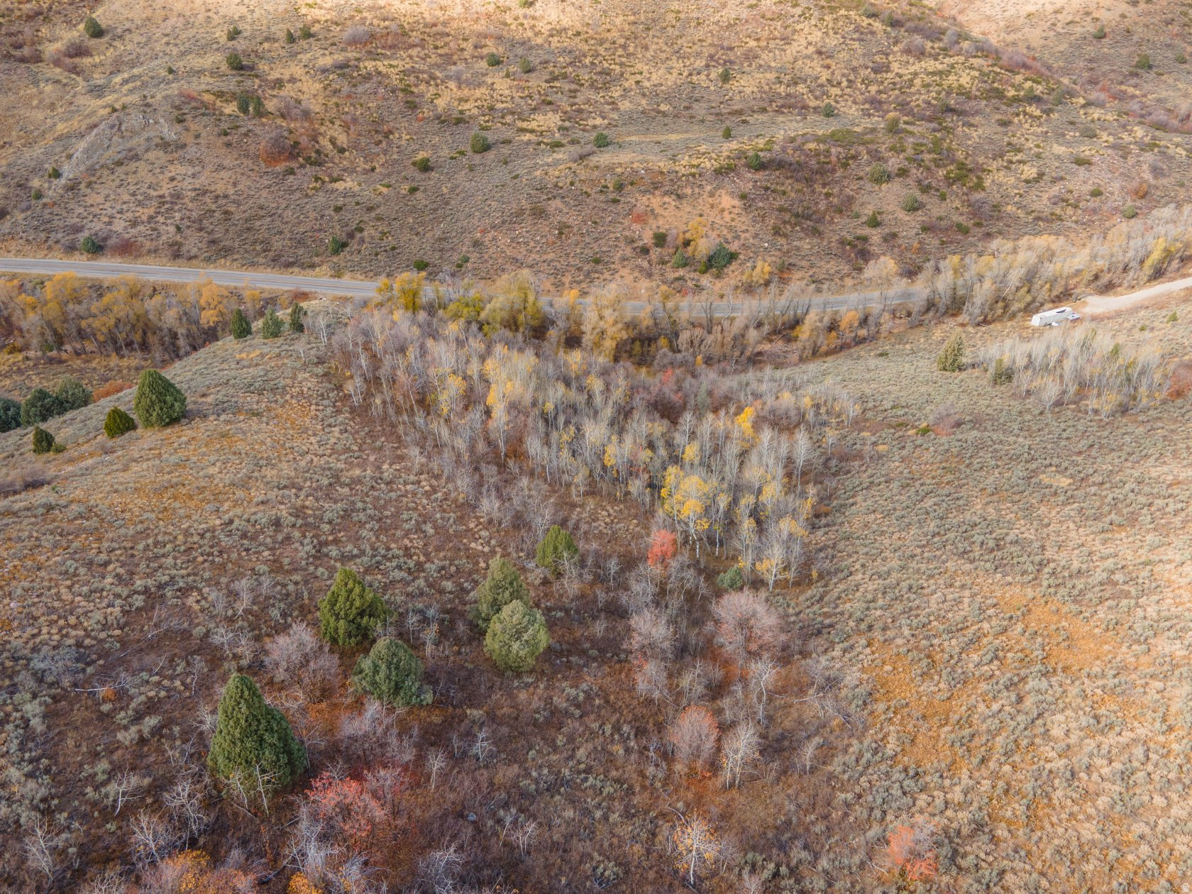 BEAVER CREEK - Land
