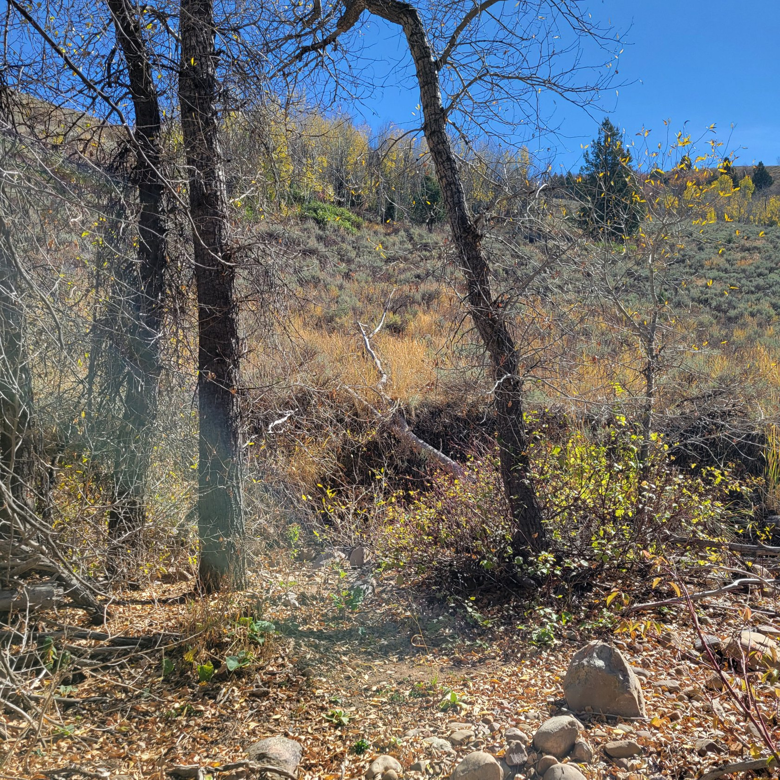 BEAVER CREEK - Land