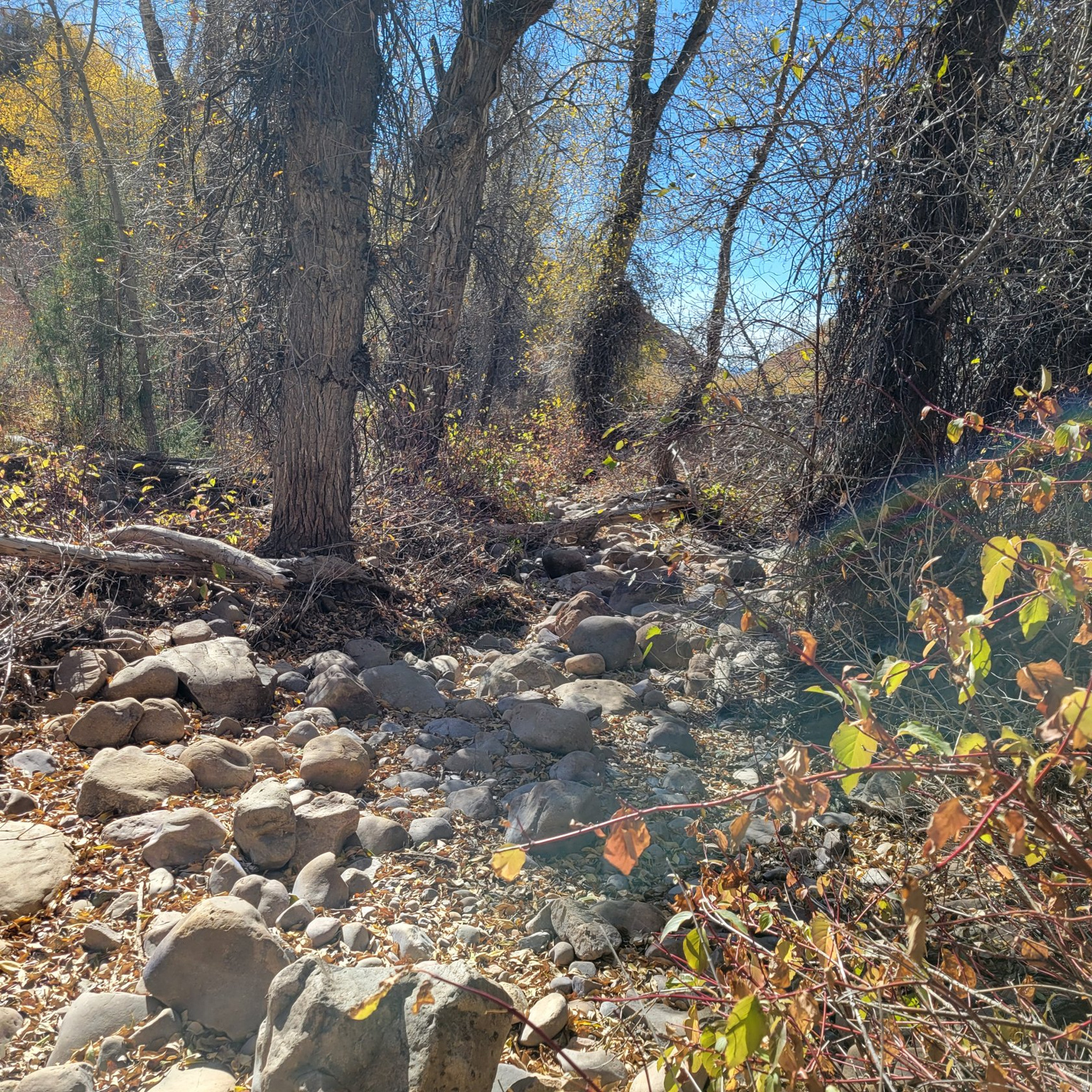 BEAVER CREEK - Land