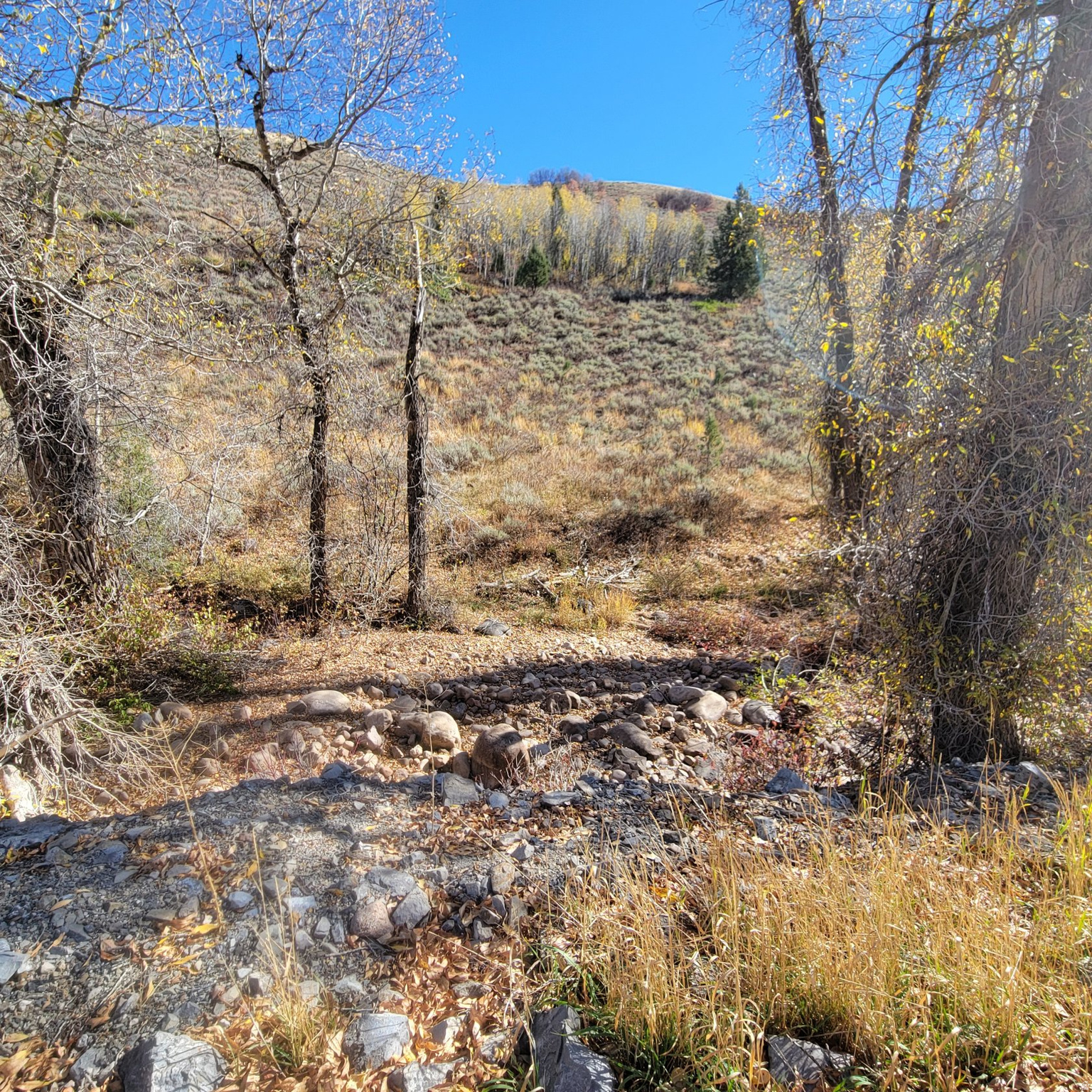 BEAVER CREEK - Land
