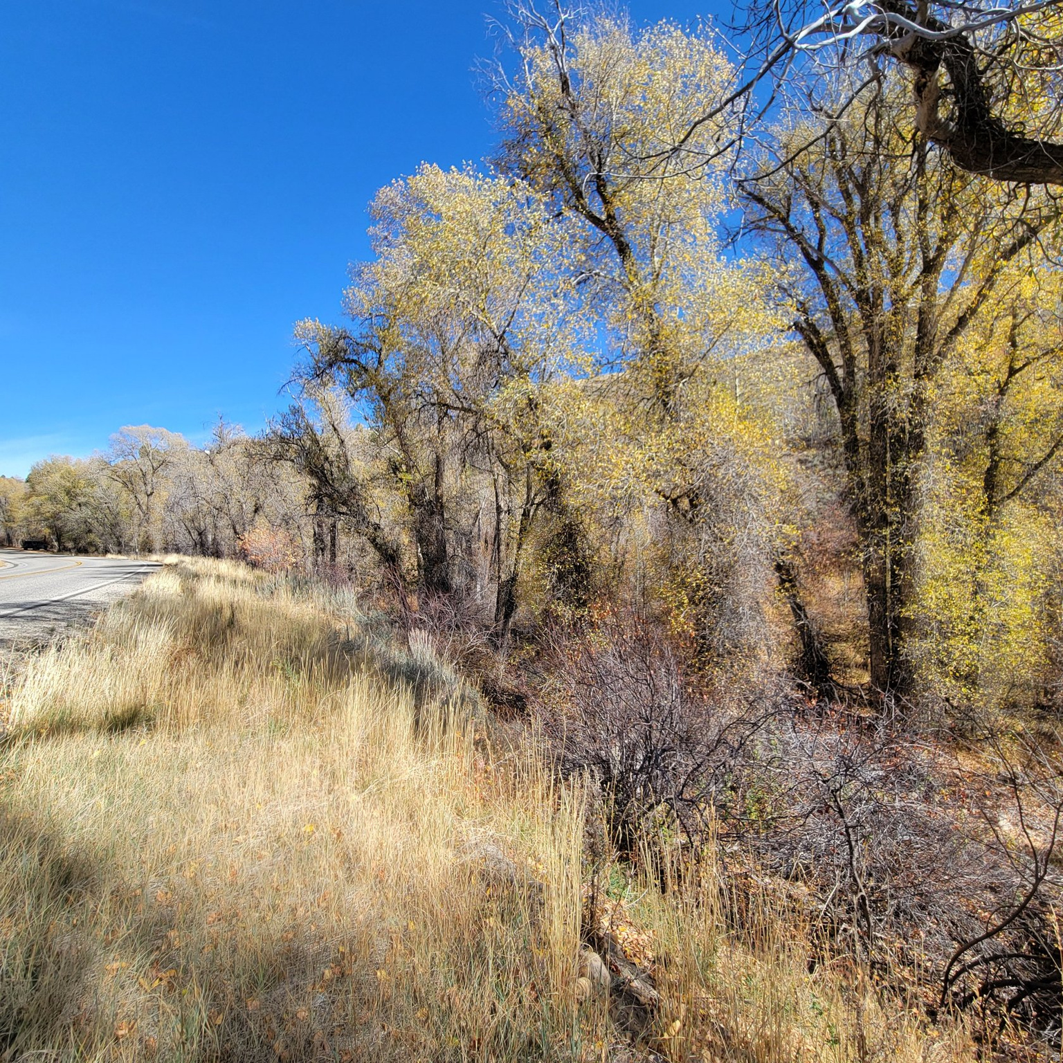 BEAVER CREEK - Land