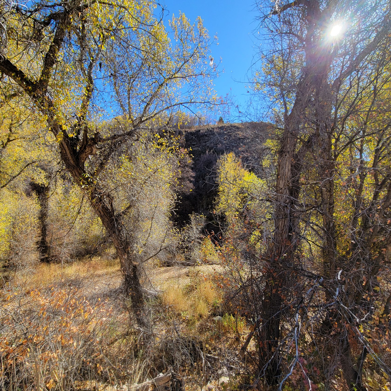 BEAVER CREEK - Land