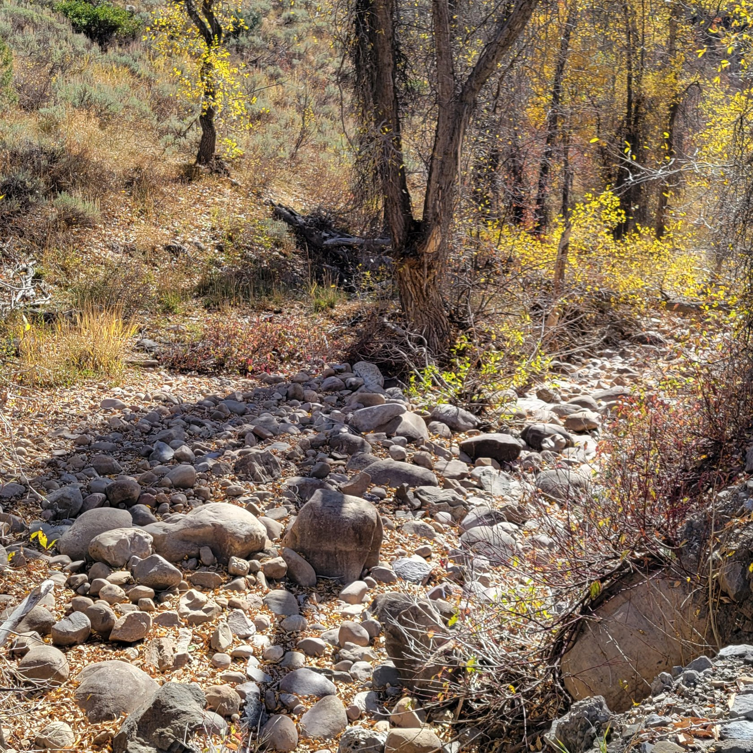 BEAVER CREEK - Land
