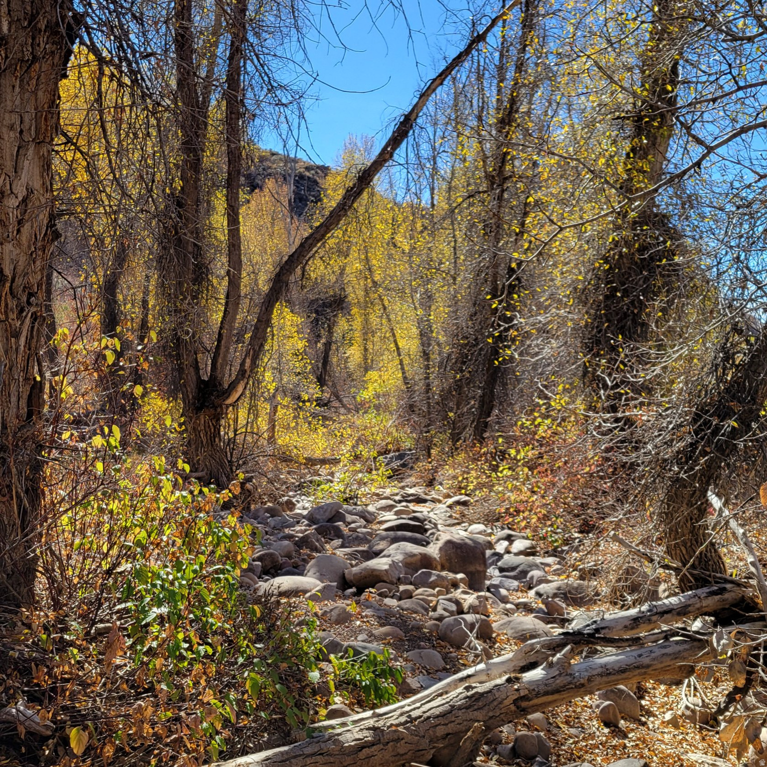 BEAVER CREEK - Land