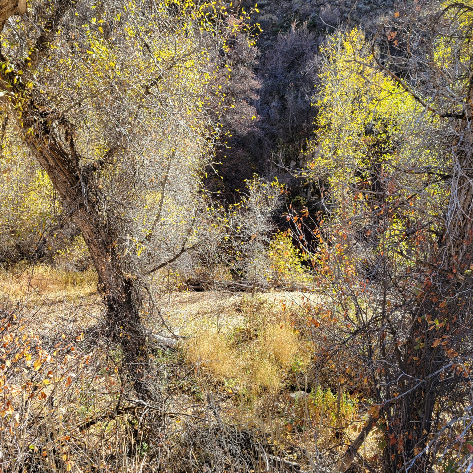 BEAVER CREEK - Land