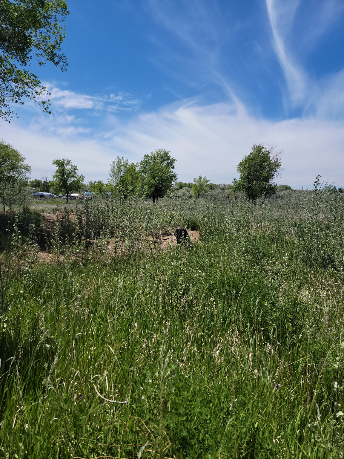 RANDLETT TOWNSITE - Residential