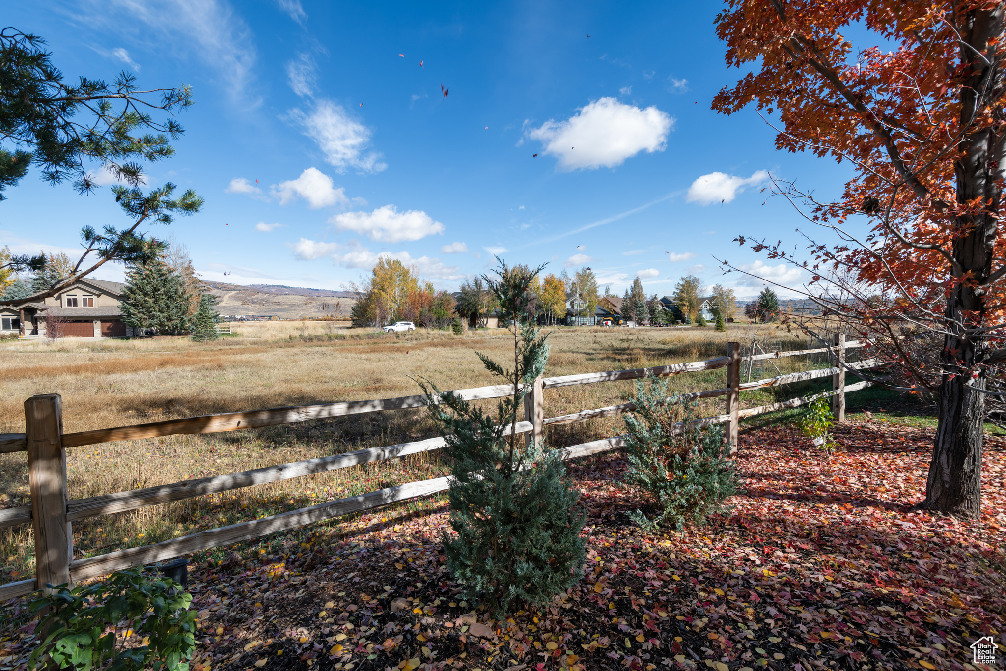 SILVER SPRINGS - Residential